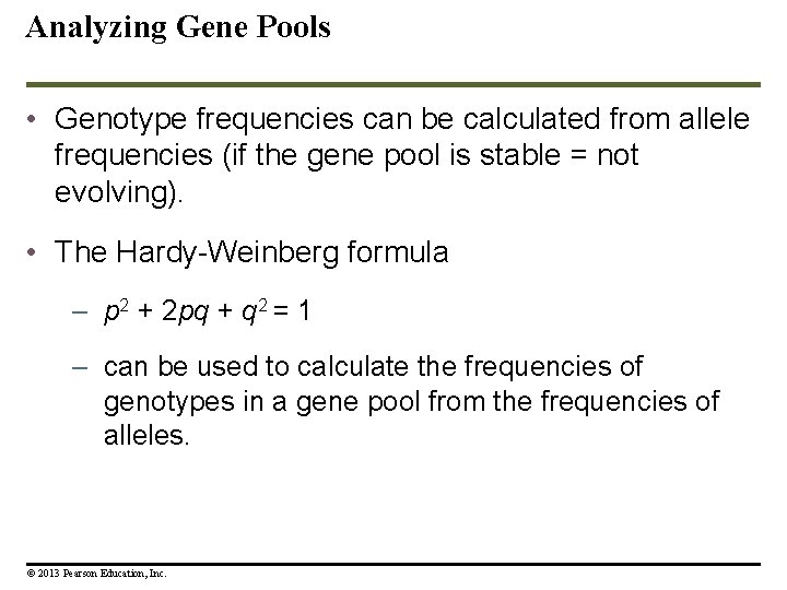 Analyzing Gene Pools • Genotype frequencies can be calculated from allele frequencies (if the