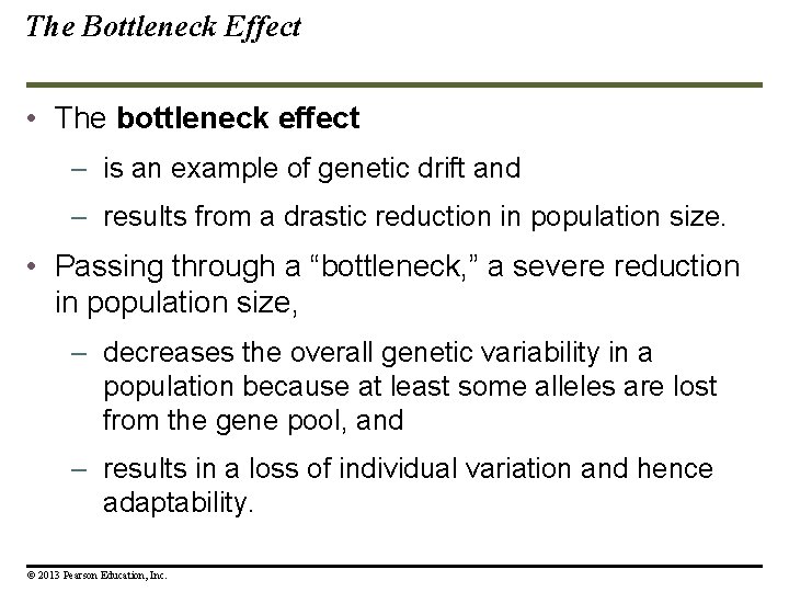 The Bottleneck Effect • The bottleneck effect – is an example of genetic drift