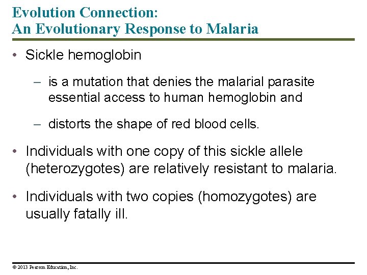 Evolution Connection: An Evolutionary Response to Malaria • Sickle hemoglobin – is a mutation