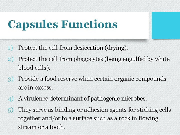 Capsules Functions 1) Protect the cell from desiccation (drying). 2) Protect the cell from