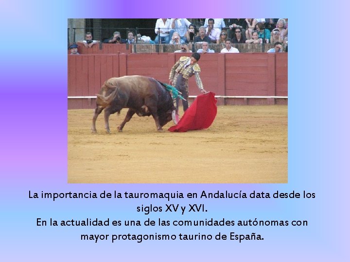 La importancia de la tauromaquia en Andalucía data desde los siglos XV y XVI.