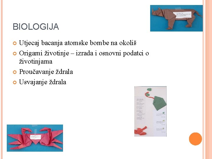 BIOLOGIJA Utjecaj bacanja atomske bombe na okoliš Origami životinje – izrada i osnovni podatci