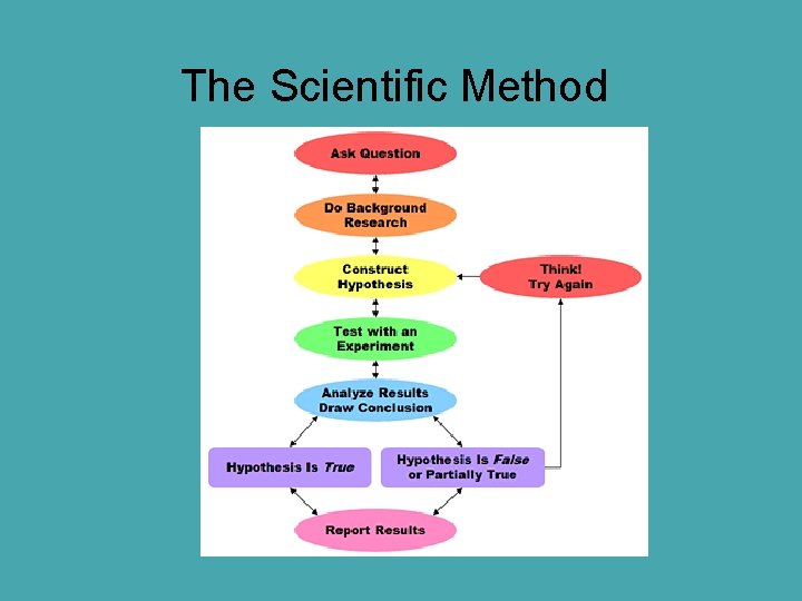 The Scientific Method 