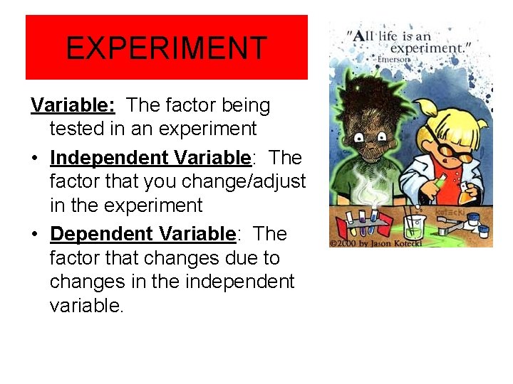 EXPERIMENT Variable: The factor being tested in an experiment • Independent Variable: The factor