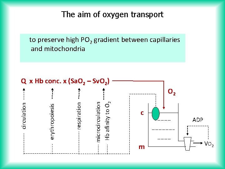 The aim of oxygen transport to preserve high PO 2 gradient between capillaries and