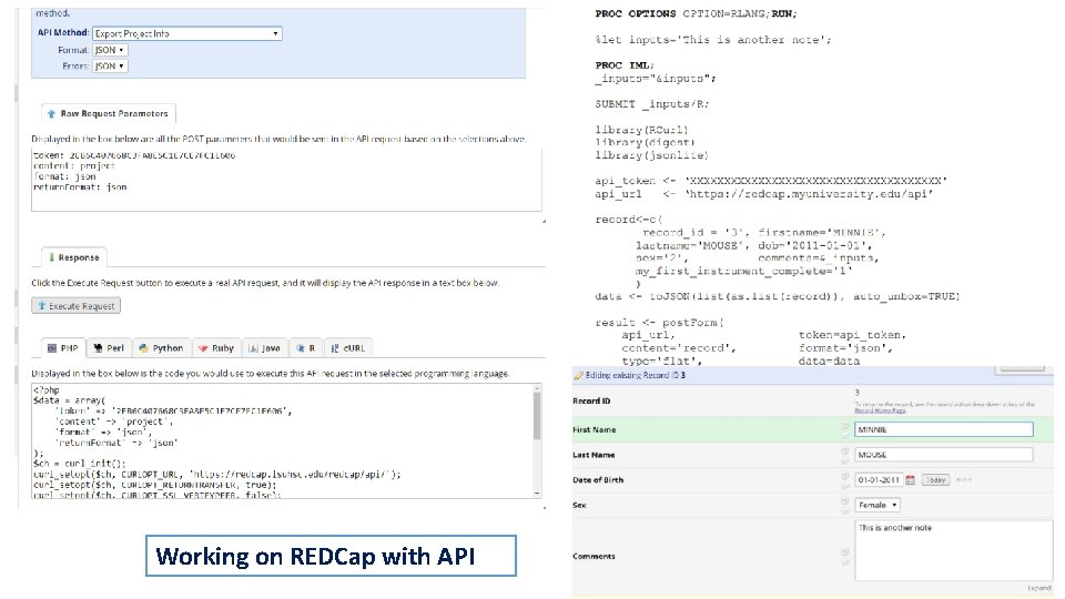 Working on REDCap with API 