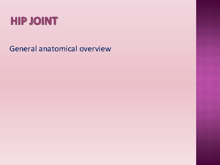 HIP JOINT General anatomical overview 