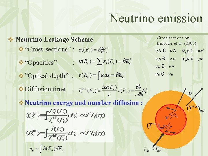 Neutrino emission v Neutrino Leakage Scheme v “Cross sections” : v “Opacities” : v