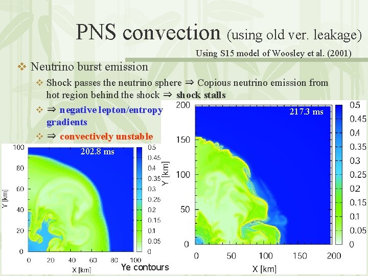 PNS convection (using old ver. leakage) Using S 15 model of Woosley et al.