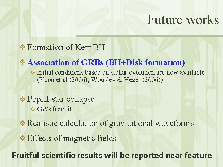 Future works v Formation of Kerr BH v Association of GRBs (BH+Disk formation) v