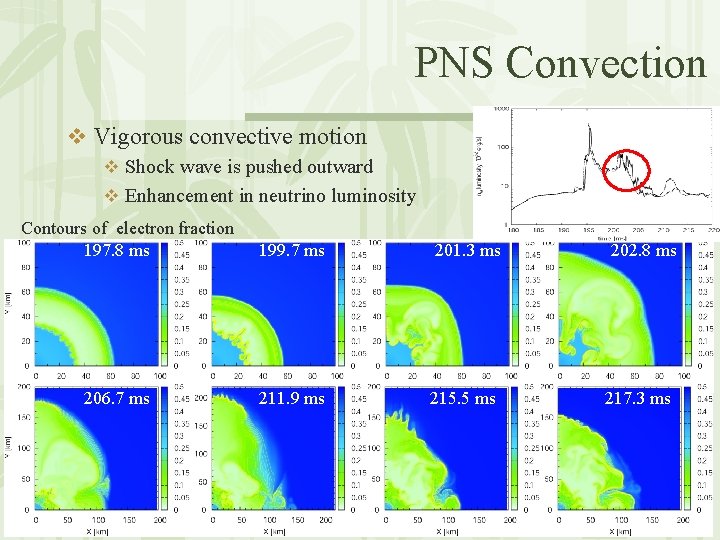 PNS Convection v Vigorous convective motion v Shock wave is pushed outward v Enhancement