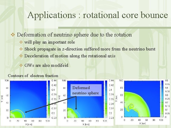 Applications : rotational core bounce v Deformation of neutrino sphere due to the rotation