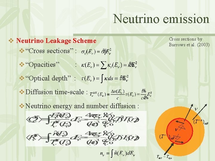 Neutrino emission v Neutrino Leakage Scheme v “Cross sections” : v “Opacities” : v