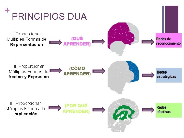 + PRINCIPIOS DUA I. Proporcionar Múltiples Formas de Representación II. Proporcionar Múltiples Formas de