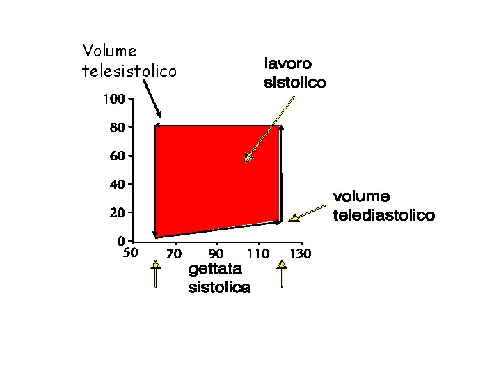 Volume telesistolico 