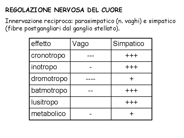 REGOLAZIONE NERVOSA DEL CUORE Innervazione reciproca: parasimpatico (n. vaghi) e simpatico (fibre postgangliari dal