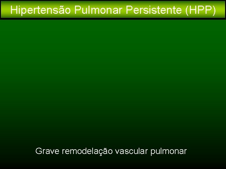 Hipertensão Pulmonar Persistente (HPP) Grave remodelação vascular pulmonar 