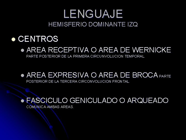 LENGUAJE HEMISFERIO DOMINANTE IZQ l CENTROS l AREA RECEPTIVA O AREA DE WERNICKE PARTE