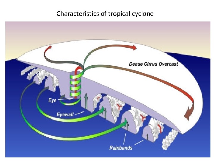 Characteristics of tropical cyclone 