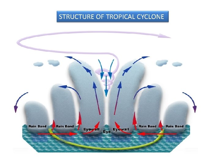 STRUCTURE OF TROPICAL CYCLONE 