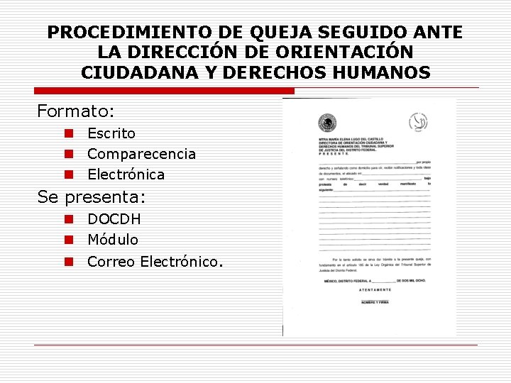 Formato De Queja De Derechos Humanos
