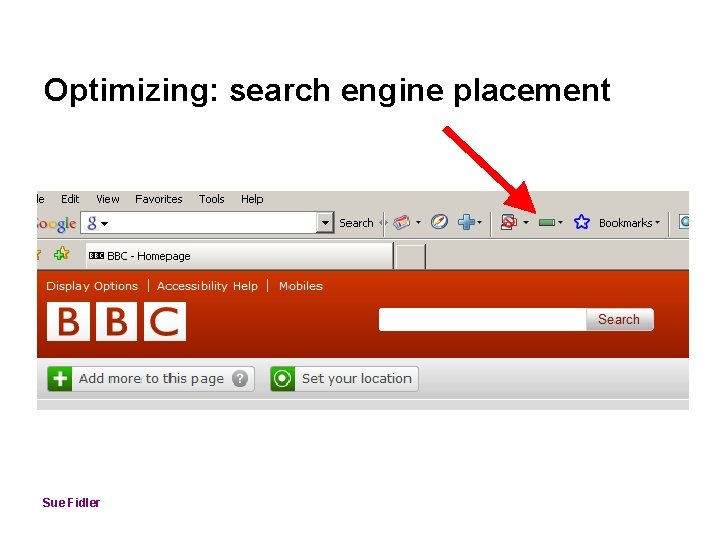 Optimizing: search engine placement Sue Fidler 