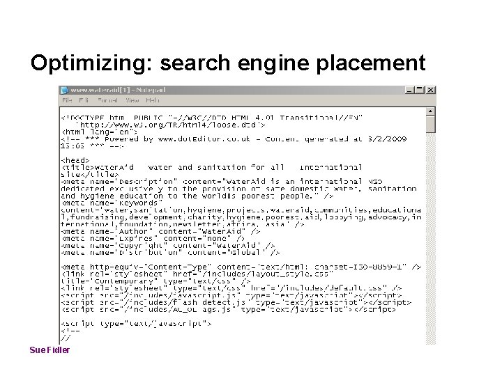 Optimizing: search engine placement Sue Fidler 