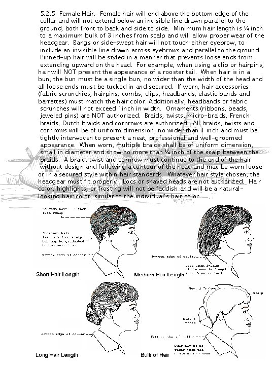 5. 2. 5 Female Hair. Female hair will end above the bottom edge of