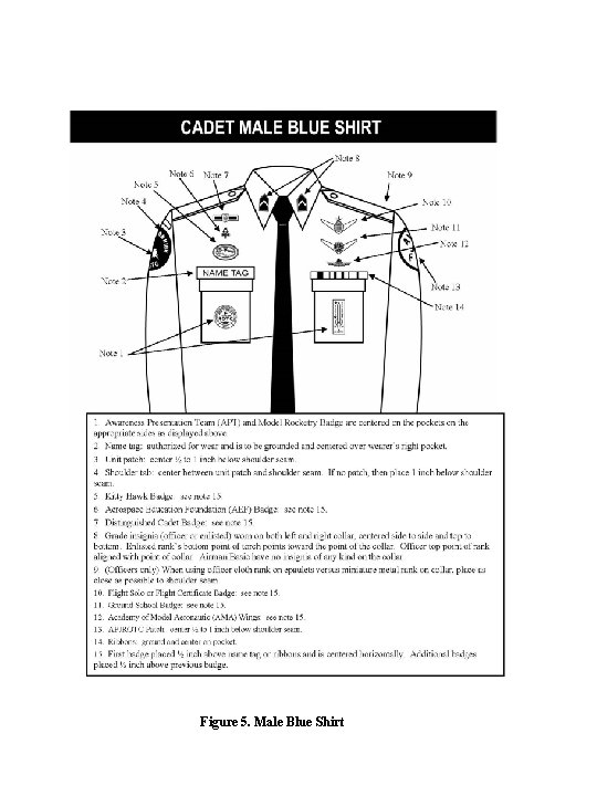 Figure 5. Male Blue Shirt 