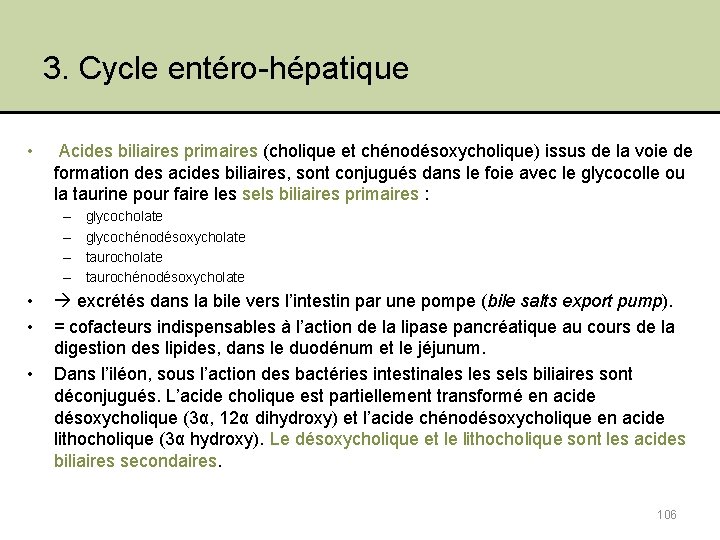 3. Cycle entéro-hépatique • Acides biliaires primaires (cholique et chénodésoxycholique) issus de la voie