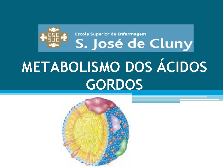 METABOLISMO DOS ÁCIDOS GORDOS 