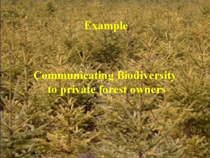 Example Communicating Biodiversity to private forest owners 