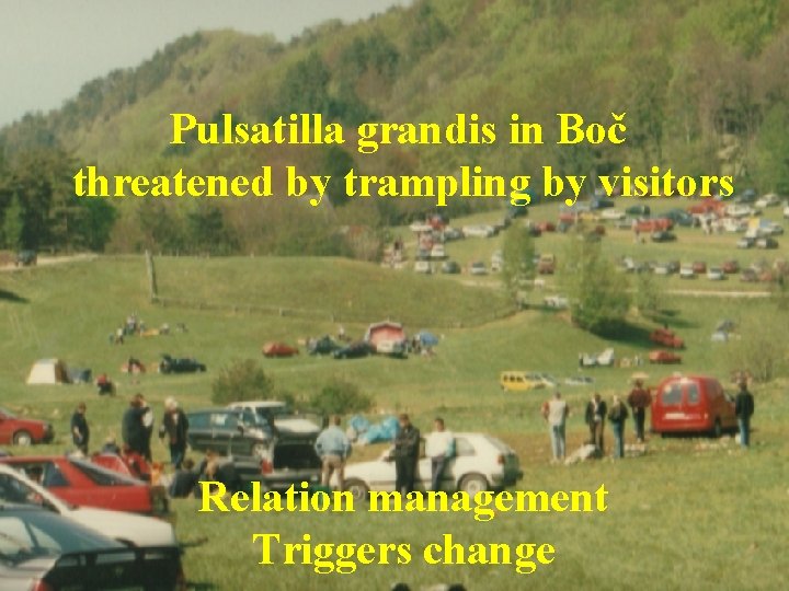 Pulsatilla grandis in Boč threatened by trampling by visitors Relation management Triggers change 