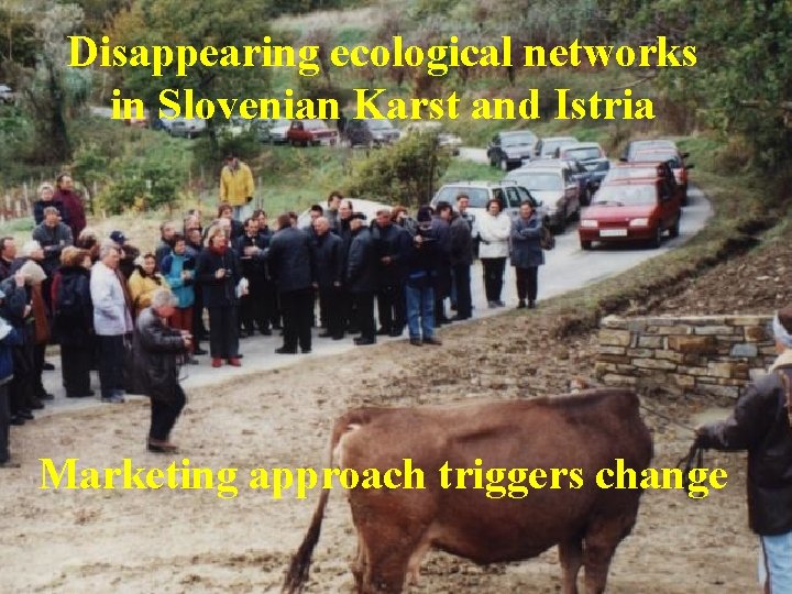 Disappearing ecological networks in Slovenian Karst and Istria Marketing approach triggers change 