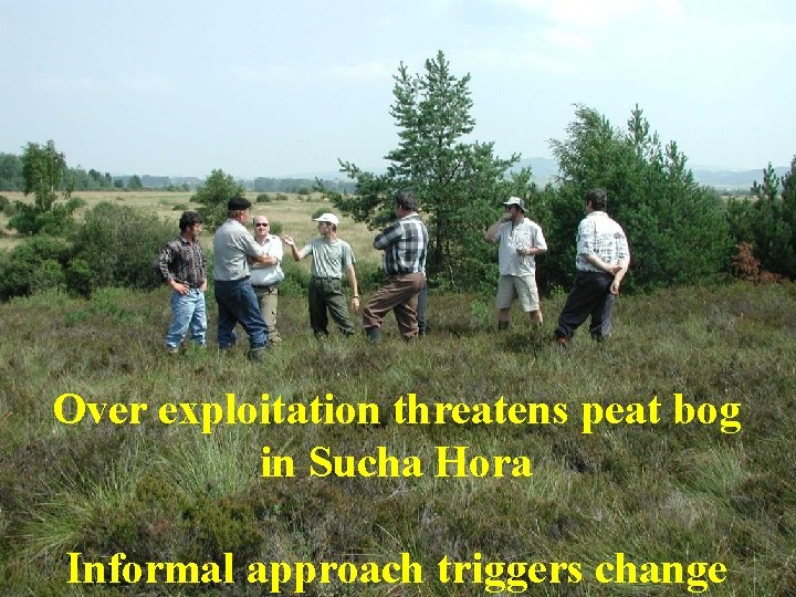 Over exploitation threatens peat bog in Sucha Hora Informal approach triggers change 