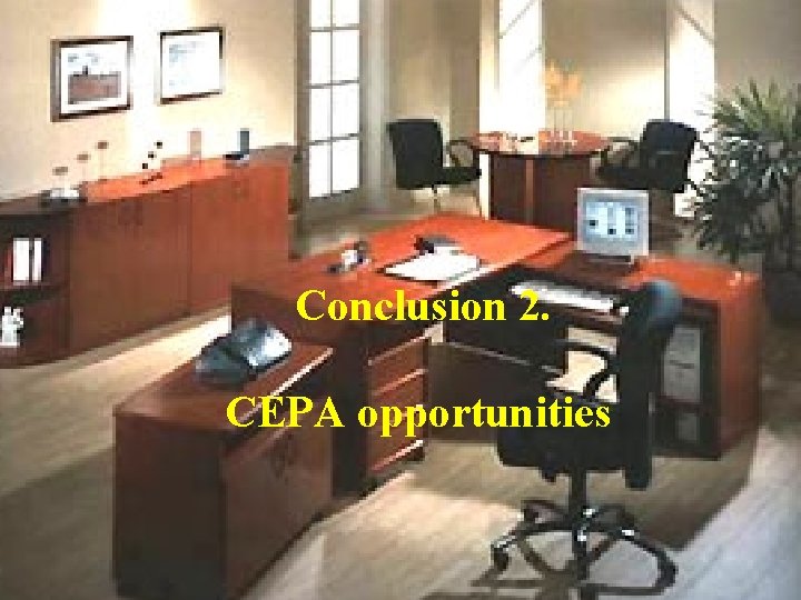 Conclusion 2. CEPA opportunities 