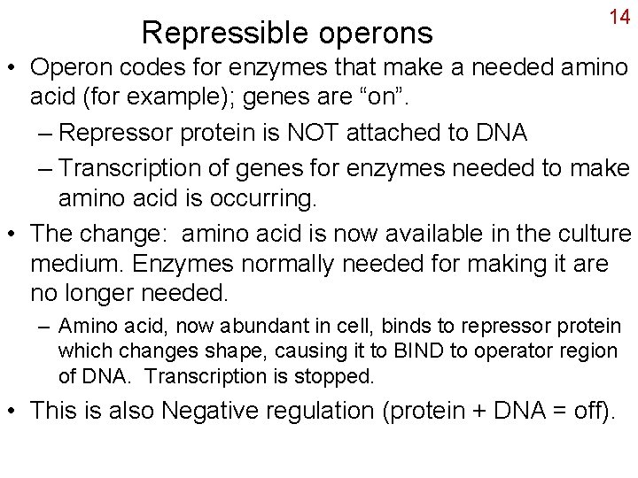 Repressible operons 14 • Operon codes for enzymes that make a needed amino acid