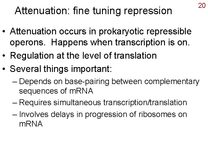 Attenuation: fine tuning repression 20 • Attenuation occurs in prokaryotic repressible operons. Happens when