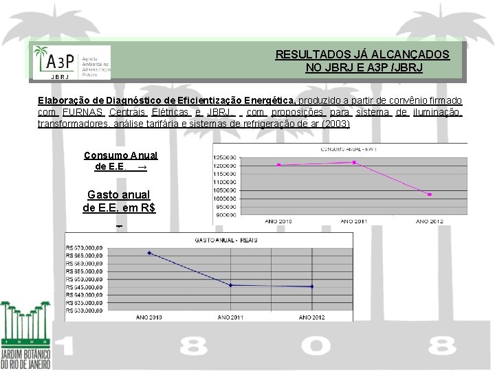 RESULTADOS JÁ ALCANÇADOS NO JBRJ E A 3 P /JBRJ Elaboração de Diagnóstico de