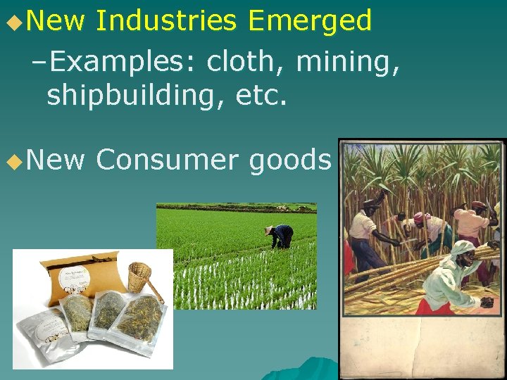 u. New Industries Emerged –Examples: cloth, mining, shipbuilding, etc. u. New Consumer goods 