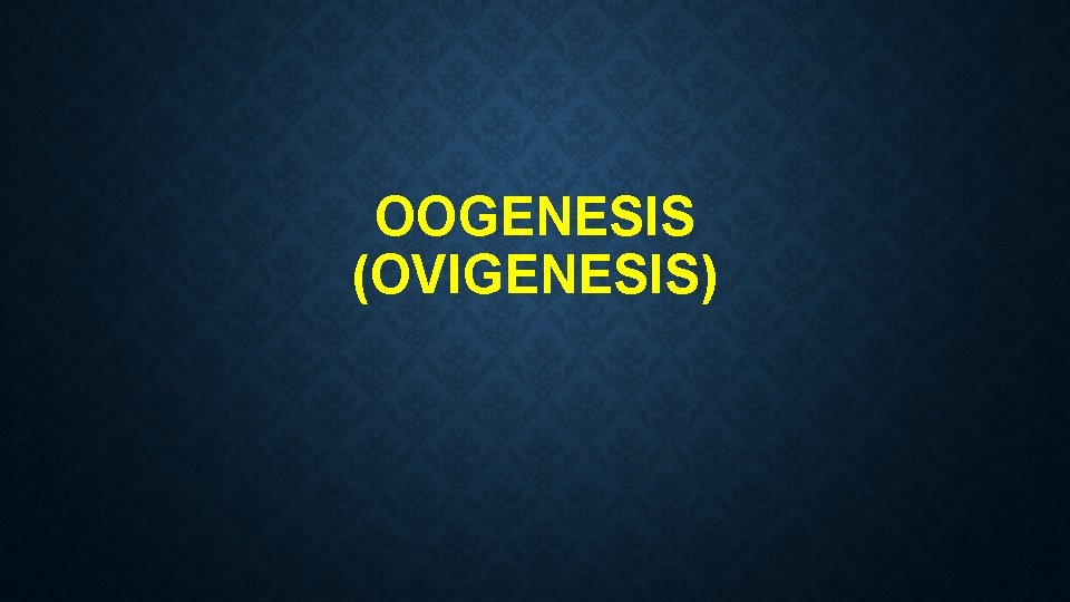 OOGENESIS (OVIGENESIS) 