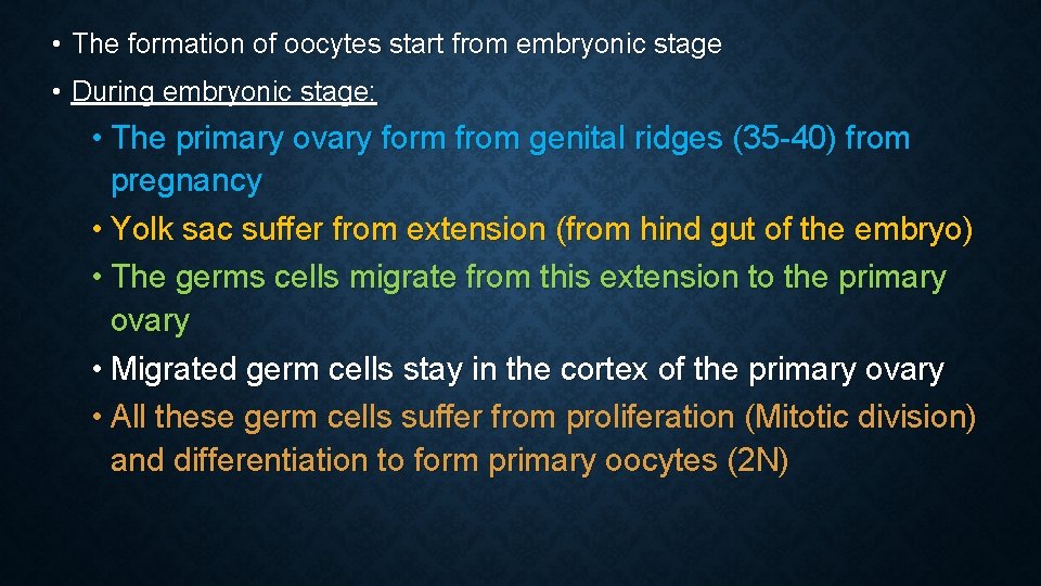  • The formation of oocytes start from embryonic stage • During embryonic stage: