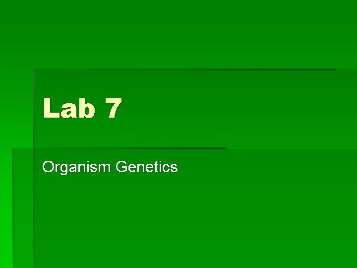 Lab 7 Organism Genetics 