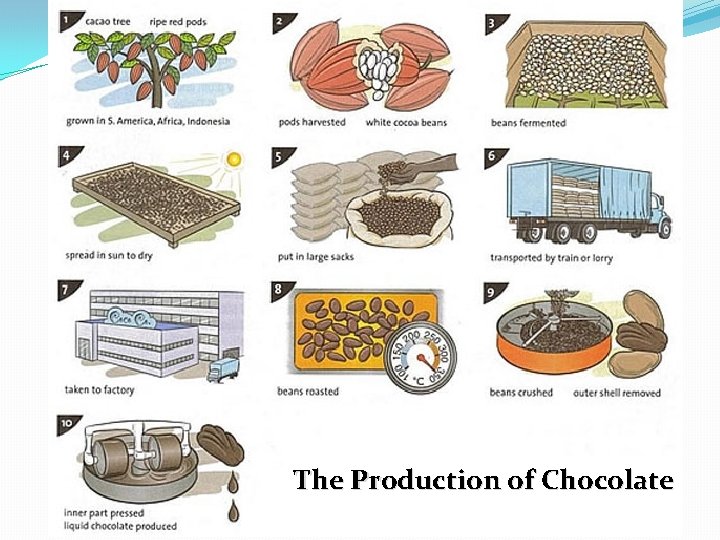 The Production of Chocolate The Production of Chocolate