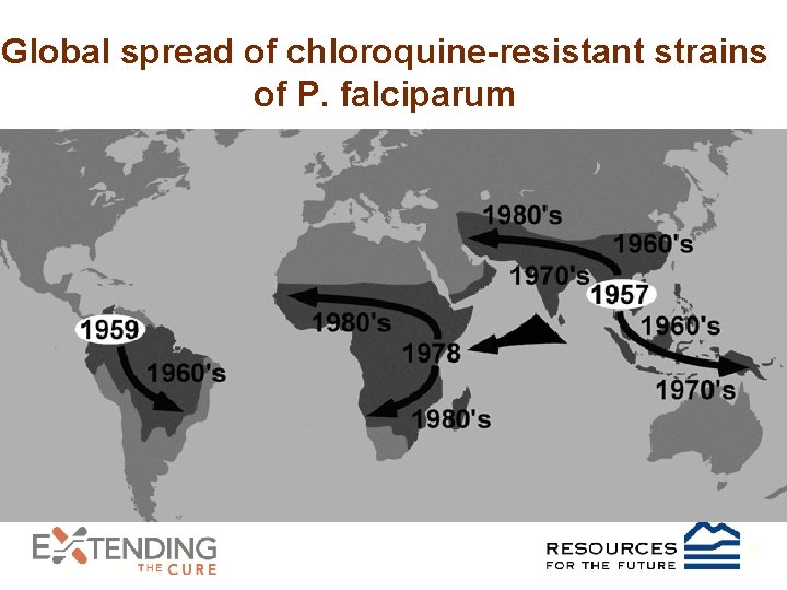 Global spread of chloroquine-resistant strains of P. falciparum 31 