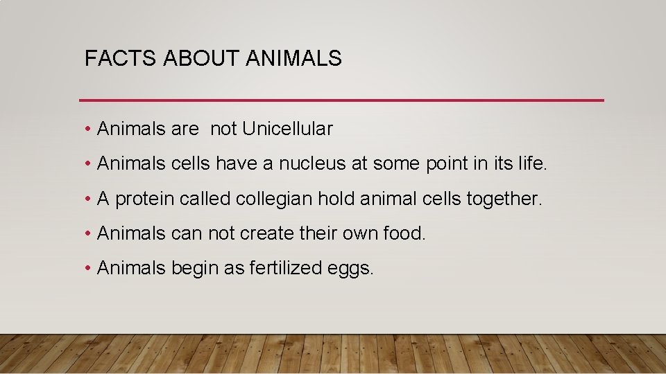 FACTS ABOUT ANIMALS • Animals are not Unicellular • Animals cells have a nucleus