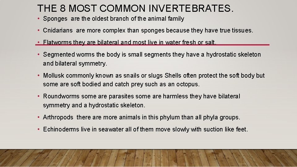 THE 8 MOST COMMON INVERTEBRATES. • Sponges are the oldest branch of the animal