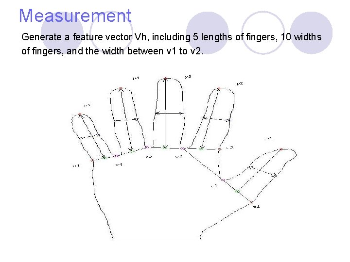 Measurement Generate a feature vector Vh, including 5 lengths of fingers, 10 widths of Measurement Generate a feature vector Vh, including 5 lengths of fingers, 10 widths of