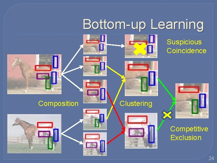 Bottom-up Learning Suspicious Coincidence Composition Clustering Competitive Exclusion 24 Bottom-up Learning Suspicious Coincidence Composition Clustering Competitive Exclusion 24
