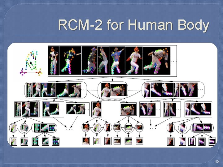 RCM-2 for Human Body 48 RCM-2 for Human Body 48